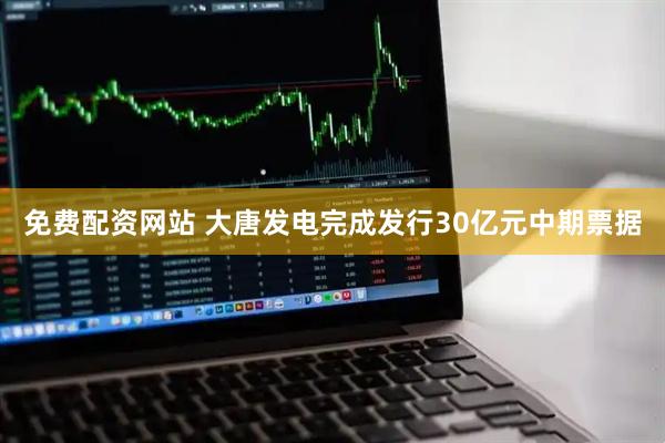 免费配资网站 大唐发电完成发行30亿元中期票据