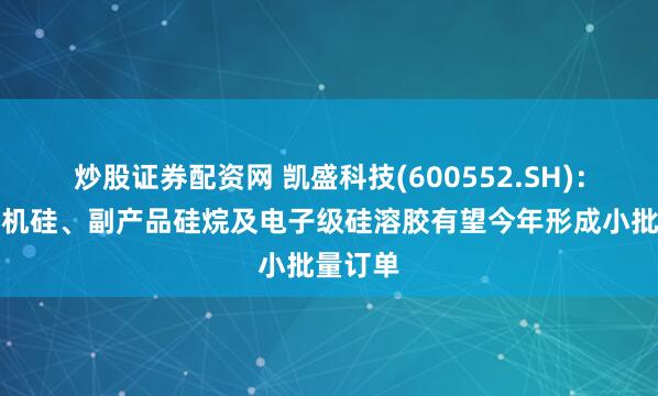 炒股证券配资网 凯盛科技(600552.SH)：项目有机硅、副产品硅烷及电子级硅溶胶有望今年形成小批量订单