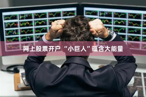 网上股票开户 “小巨人”蕴含大能量