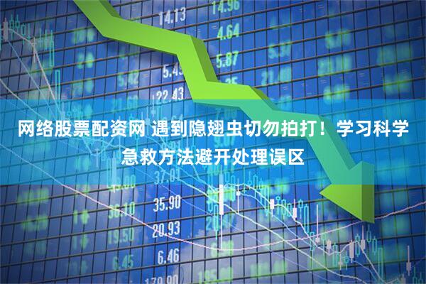 网络股票配资网 遇到隐翅虫切勿拍打!学习科学急救方法避开处理误区